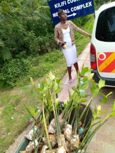 Read more about the article Donated 250 Mangrove seedlings to Kilifi