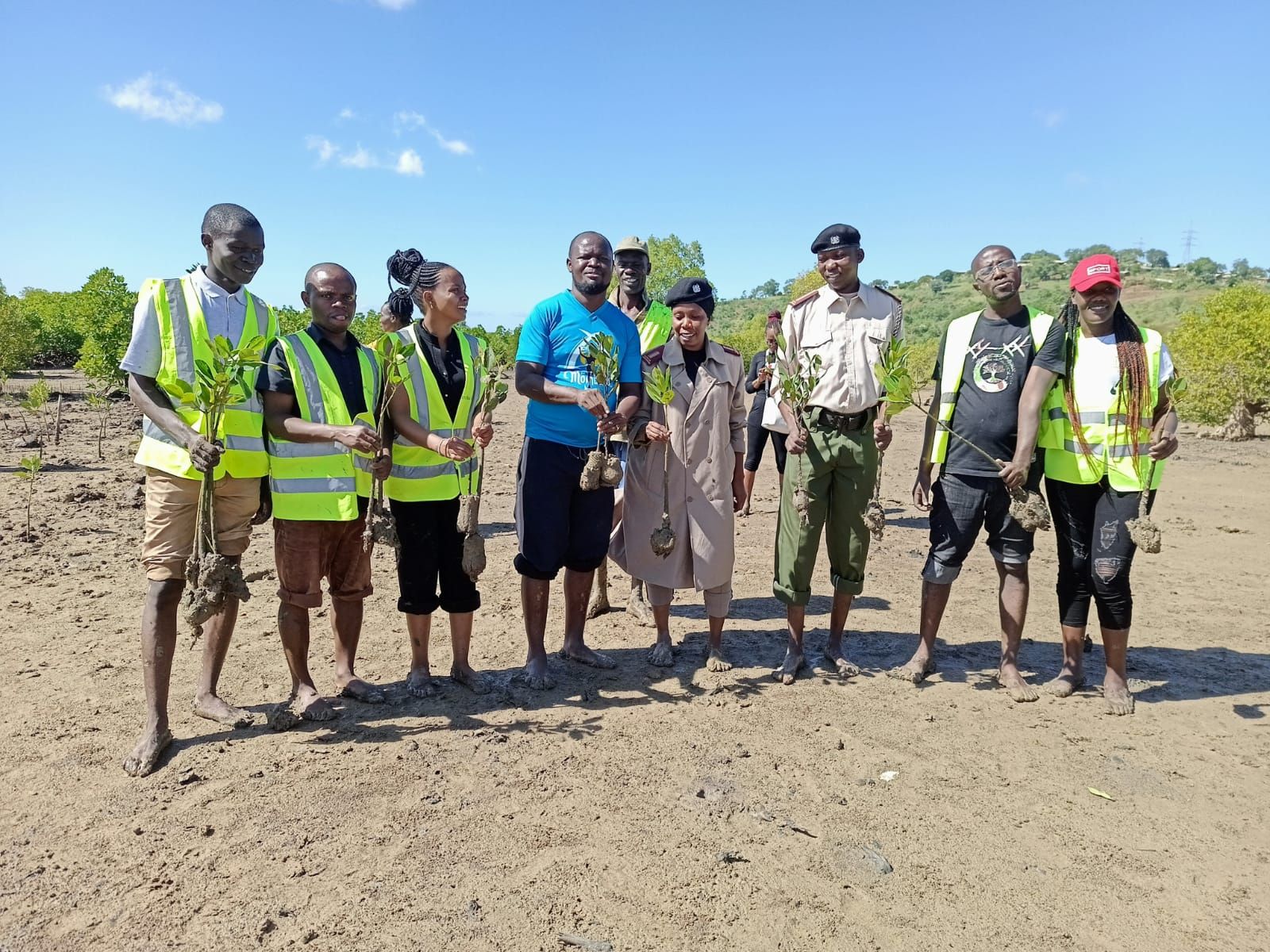 Tudor creek tree planting